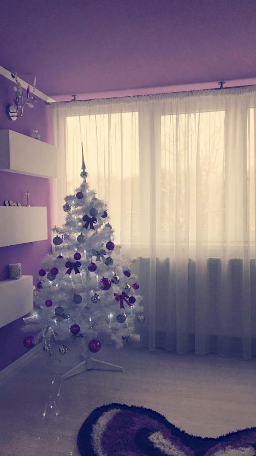 Apartament 2 Camere 부쿠레슈티 외부 사진